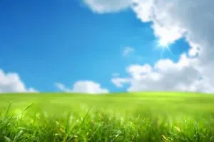 Open grassy field under a blue sky with scattered clouds suggesting fresh, clean air