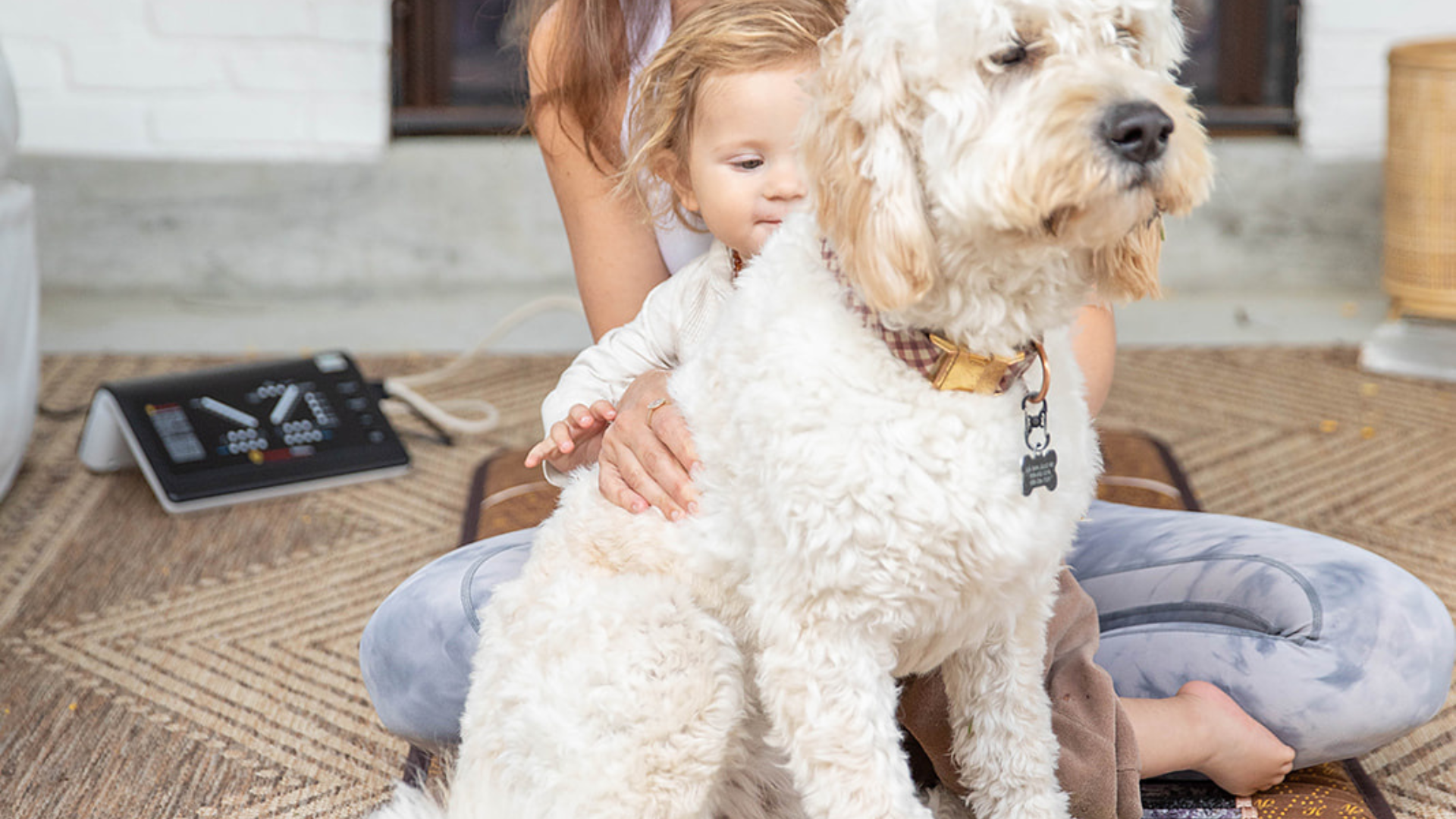 Infrared Therapy for Dogs