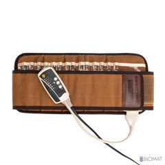 BioBelt